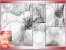 SampleImage