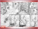 SampleImage