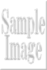 SampleImage